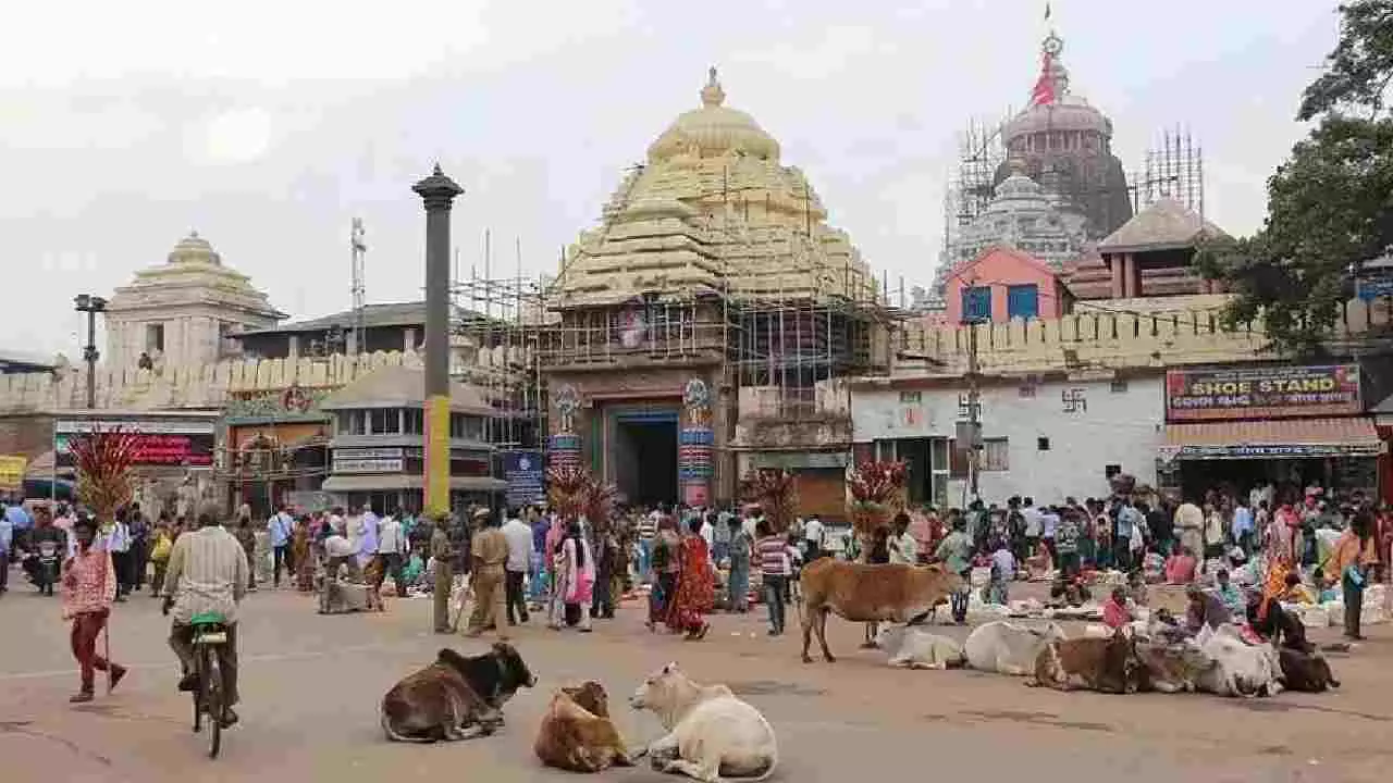 ಒಡಿಶಾದ ಜಗನ್ನಾಥ ದೇವಾಲಯದ ಆಚರಣೆಗಳಿಗೆ ಹಕ್ಕುಸ್ವಾಮ್ಯ ರಕ್ಷಣೆಗೆ ಯೋಜನೆ ಒಡಿಶಾದ ಜಗನ್ನಾಥ ದೇವಾಲಯದ ಆಚರಣೆಗಳಿಗೆ ಹಕ್ಕುಸ್ವಾಮ್ಯ ರಕ್ಷಣೆಗೆ ಯೋಜನೆ