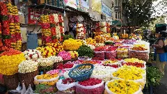 Flower merchant receives notice for 54 lakh transactions through UPI in a single year