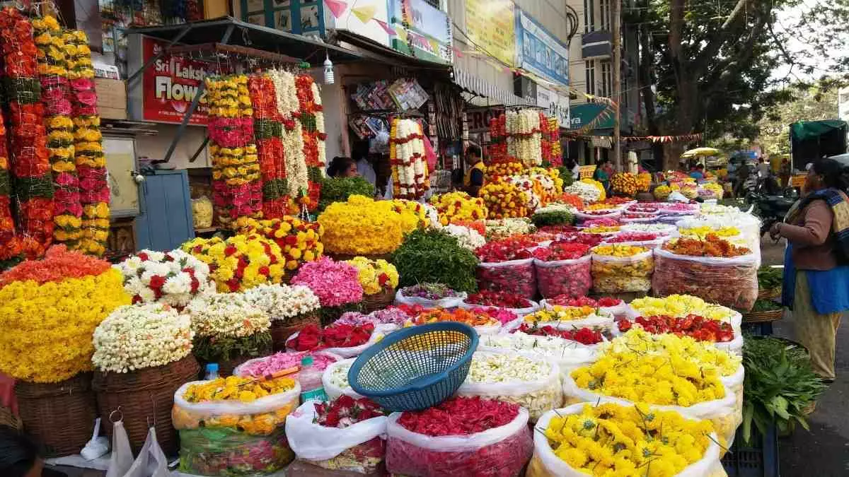 Flower merchant receives notice for 54 lakh transactions through UPI in a single year Flower merchant receives notice for 54 lakh transactions through UPI in a single year