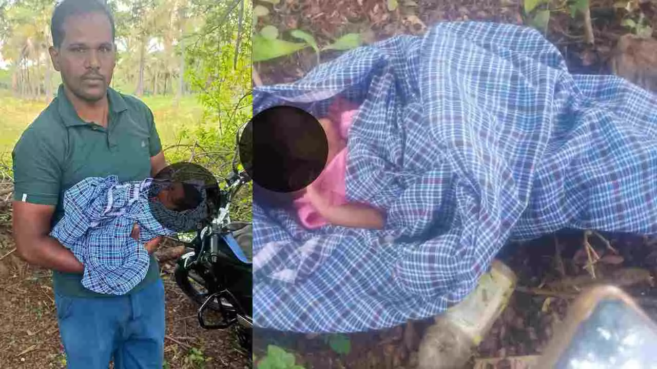 ಕರುಳ ಬಳ್ಳಿ ಕಳಚುವ ಮುನ್ನವೇ ಹೆತ್ತ ಕಂದಮ್ಮನನ್ನು ಬೀದಿ ಬದಿ ಎಸೆದು ಹೋದರು.. ಕರುಳ ಬಳ್ಳಿ ಕಳಚುವ ಮುನ್ನವೇ ಹೆತ್ತ ಕಂದಮ್ಮನನ್ನು ಬೀದಿ ಬದಿ ಎಸೆದು ಹೋದರು..