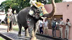 Dasara 2025: ಅಂಬಾರಿ ಹೊರಲು ಅಭಿಮನ್ಯು ನೇತೃತ್ವದಲ್ಲಿ ಸಜ್ಜಾದ ಭೀಮ-ಧನಂಜಯರ ಗಜಪಡೆ!