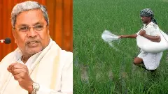 Karnataka Faces Severe Urea Shortage; CM Appeals to Centre for 1.65 Lakh Tonnes Immediate Supply