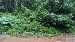 The Federal Ground Report | ಧರ್ಮಸ್ಥಳದ ಹಳ್ಳಿಗಳಲ್ಲಿ ಭಯದ ವದಂತಿ: ಗುಂಡಿಗಳನ್ನು ಕಂಡರೆ ಗುಂಡಿಗೆ ನಡುಗುವುದು...