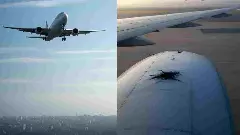 ವಿಮಾನಗಳಿಗೆ ಹಕ್ಕಿ ಡಿಕ್ಕಿ: ಬೆಂಗಳೂರು ಹಾಟ್‌ಸ್ಪಾಟ್‌