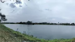 ಮುಂದುವರಿದಿದೆ ಕೆರೆಗಳ ಒತ್ತುವರಿ| 14,533 ಕೆರೆಗಳ ಪೈಕಿ 7,725 ಕಡೆ ತೆರವು ಇಲ್ಲ!