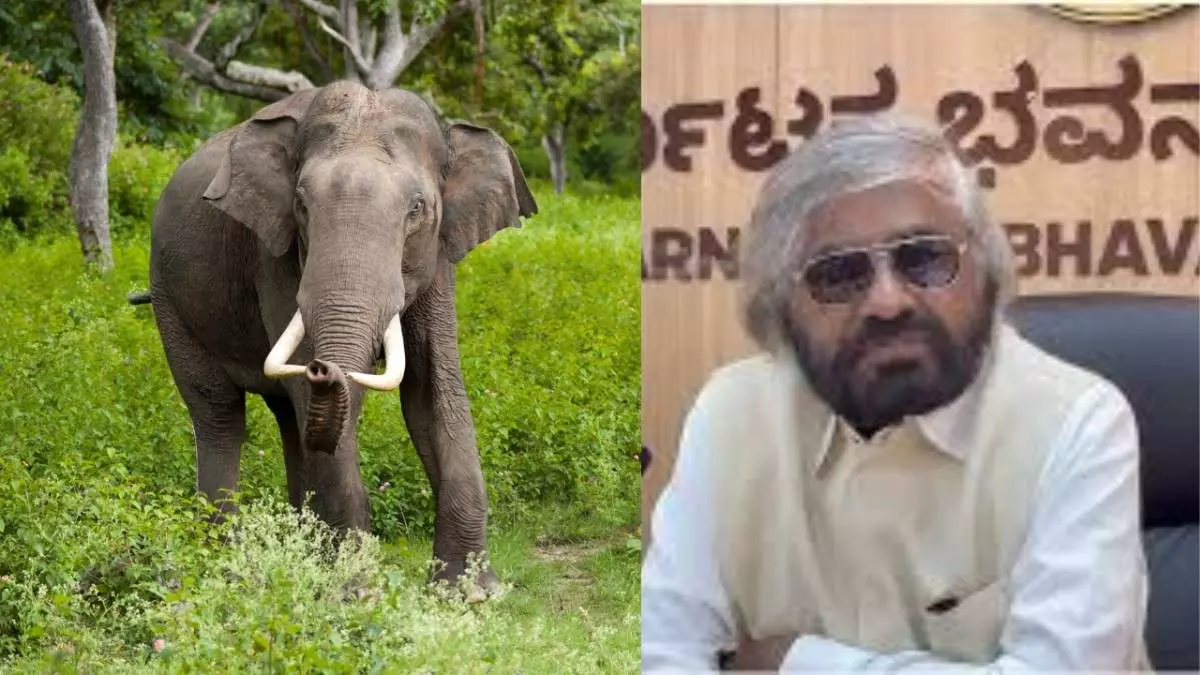 Two killed in elephant attack in Balehonnur: Minister Eshwar Khandre orders arrest of hooligans Two killed in elephant attack in Balehonnur: Minister Eshwar Khandre orders arrest of hooligans