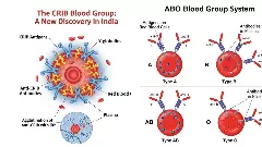 ವೈದ್ಯಲೋಕದ ವಿಸ್ಮಯ: ಕೋಲಾರದ ಮಹಿಳೆಯಲ್ಲಿ ವಿಶ್ವದಲ್ಲೇ ಮೊದಲ ಬಾರಿಗೆ ಅಪರೂಪದ ರಕ್ತದ ಗುಂಪು ಪತ್ತೆ
