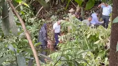 New Twist in Dharmasthala Case: Another Skeleton Found on 6th Day of Search?