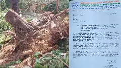 BJP files complaint over destruction of barrier, trees at Independence Park for protest