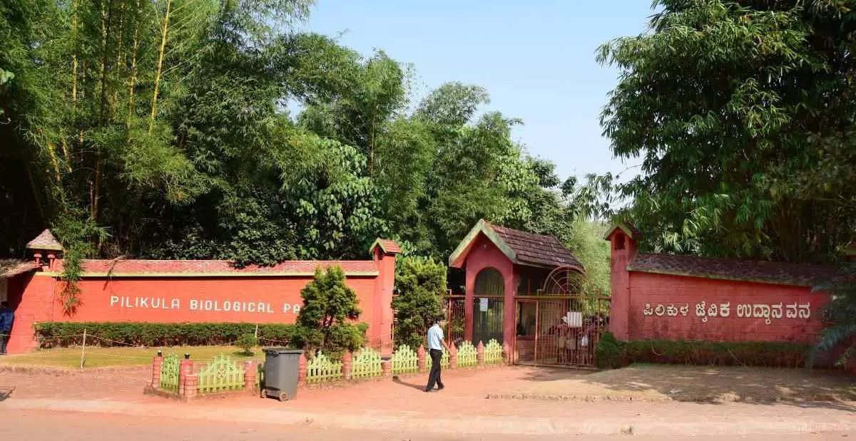 Conspiracy to poison Pilikula wildlife for not getting tender; Case registered Conspiracy to poison Pilikula wildlife for not getting tender; Case registered