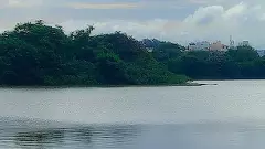 ಯಲಹಂಕ ವ್ಯಾಪ್ತಿಯ ಎರಡು ಕೆರೆಗಳಲ್ಲಿ ತೇಲುವ ಸೌರ ಫಲಕ ಅಳವಡಿಕೆ -ಡಿಕೆಶಿ