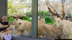 Illegalities Alleged Against Vantara: Supreme Court Orders SIT Probe