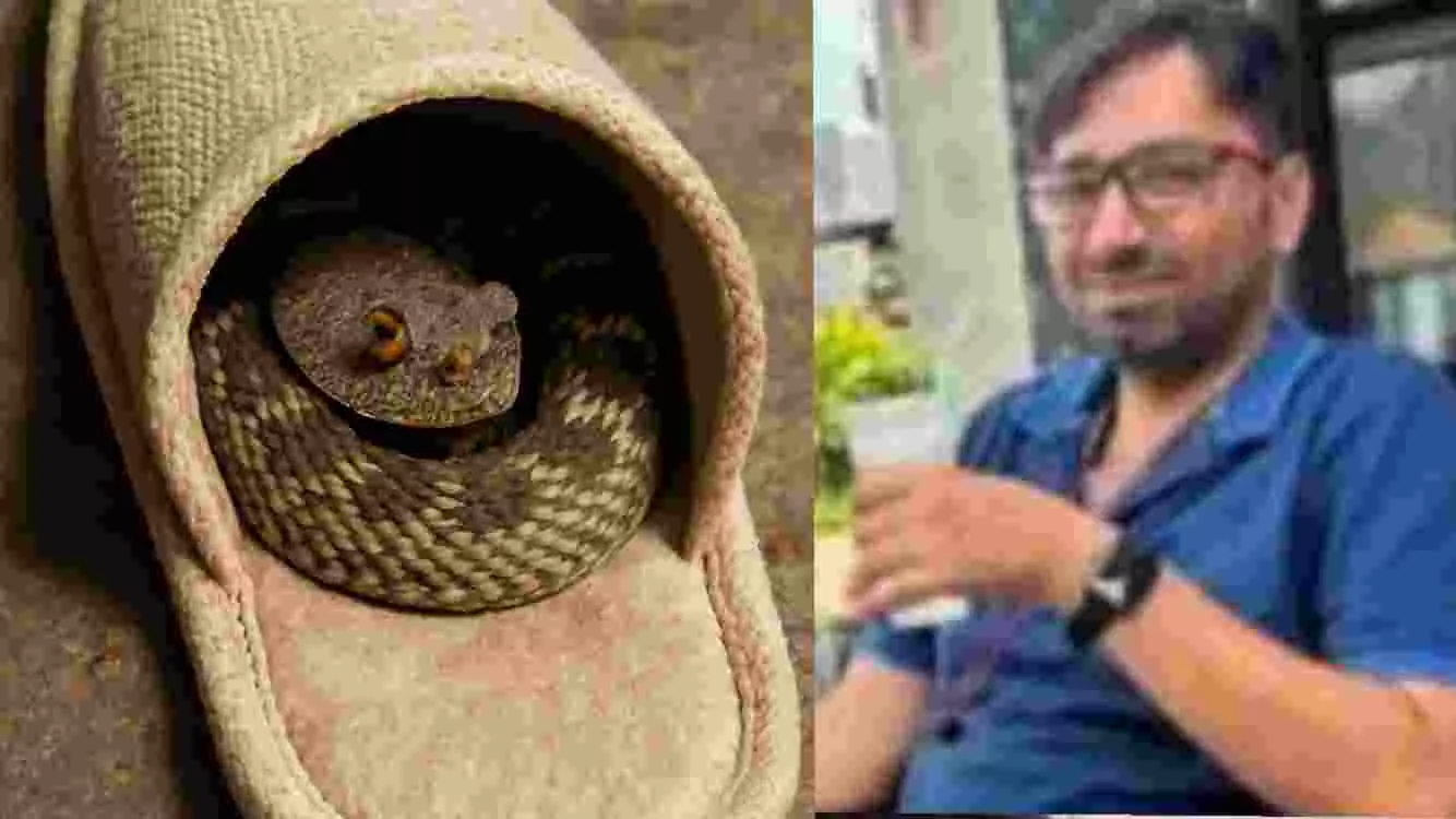ಚಪ್ಪಲಿಯೊಳಗೆ ಮಲಗಿದ್ದ ಹಾವು ಕಚ್ಚಿ ವ್ಯಕ್ತಿ ಸಾವು ಚಪ್ಪಲಿಯೊಳಗೆ ಮಲಗಿದ್ದ ಹಾವು ಕಚ್ಚಿ ವ್ಯಕ್ತಿ ಸಾವು