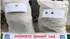 Massive operation by Viveknagar police: Ganja worth Rs 5.6 lakh seized