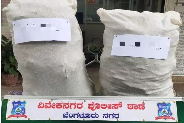 Massive operation by Viveknagar police: Ganja worth Rs 5.6 lakh seized Massive operation by Viveknagar police: Ganja worth Rs 5.6 lakh seized