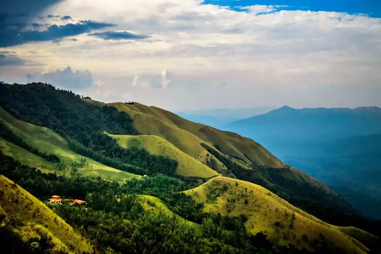Chikkamagalur | ಚಿನ್ನದ ನಿಕ್ಷೇಪ ಅನ್ವೇಷಣೆಗೆ ಅನುಮತಿ; ಅರಣ್ಯದಲ್ಲಿ ಶೋಧ ಕಾರ್ಯಾಚರಣೆಗೆ ಆಕ್ಷೇಪ Chikkamagalur | ಚಿನ್ನದ ನಿಕ್ಷೇಪ ಅನ್ವೇಷಣೆಗೆ ಅನುಮತಿ; ಅರಣ್ಯದಲ್ಲಿ ಶೋಧ ಕಾರ್ಯಾಚರಣೆಗೆ ಆಕ್ಷೇಪ