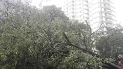 ಬೆಂಗಳೂರಿನಲ್ಲಿ ಧಾರಾಕಾರ ಮಳೆ: ರಾಜಾಜಿನಗರದಲ್ಲಿ ಭಾರಿ ಹಾನಿ; 8 ಜಿಲ್ಲೆಗಳಲ್ಲಿ ಯೆಲ್ಲೋ ಅಲರ್ಟ್