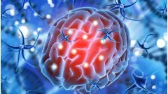 ಕೇರಳ | ಒಂದೇ ತಿಂಗಳಲ್ಲಿ ಮೆದುಳು ತಿನ್ನುವ ಅಮೀಬಾ ಸೋಂಕಿಗೆ 6 ಜನ ಬಲಿ