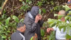 ಧರ್ಮಸ್ಥಳ ಪ್ರಕರಣ|ಮುಸುಕುಧಾರಿ ಚಿನ್ನಯ್ಯನಿಗೆ ಜಾಮೀನು ಮಂಜೂರು