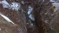 Wardens negligence, 15 quintals of wheat meant for students food, falls to the ground