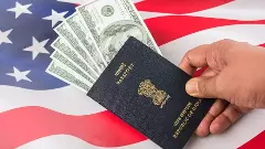 H-1B visa: TCS gets highest approval after Amazon; report reveals amid Trumps new fees
