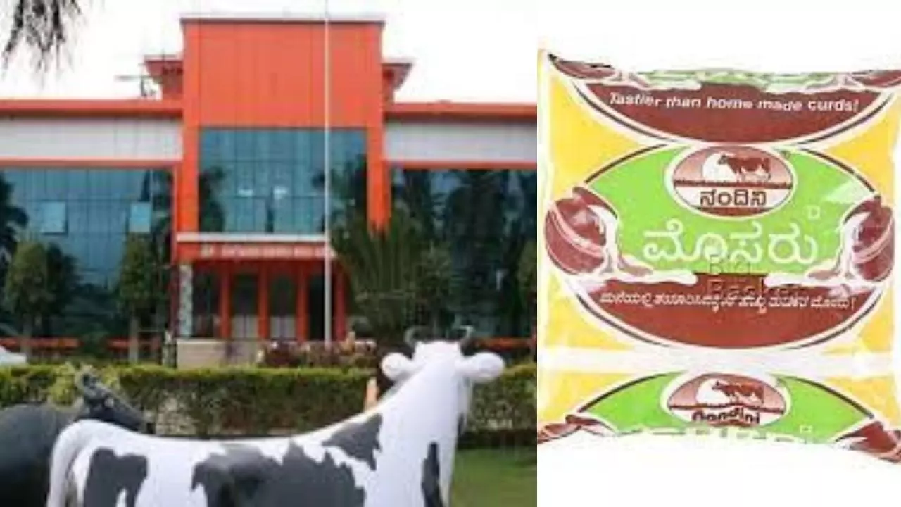 GST Reform |ಗುಡ್ ನ್ಯೂಸ್: ಸೋಮವಾರದಿಂದ ಹಾಲು, ಬೆಣ್ಣೆ ತುಪ್ಪ ಅಗ್ಗ GST Reform |ಗುಡ್ ನ್ಯೂಸ್: ಸೋಮವಾರದಿಂದ ಹಾಲು, ಬೆಣ್ಣೆ ತುಪ್ಪ ಅಗ್ಗ