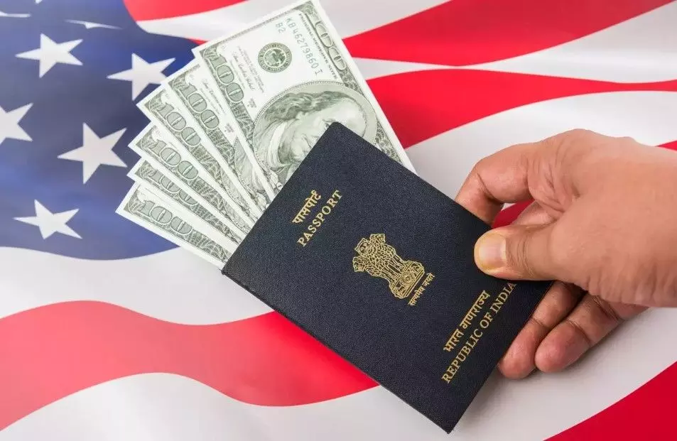 H-1B visa: TCS gets highest approval after Amazon; report reveals amid Trumps new fees H-1B visa: TCS gets highest approval after Amazon; report reveals amid Trumps new fees