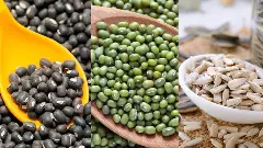 ಬೆಂಬಲ ಬೆಲೆ ಯೋಜನೆ| ಹೆಸರು, ಉದ್ದು, ಸೂರ್ಯಕಾಂತಿ ಖರೀದಿಗೆ ಸೂಚನೆ