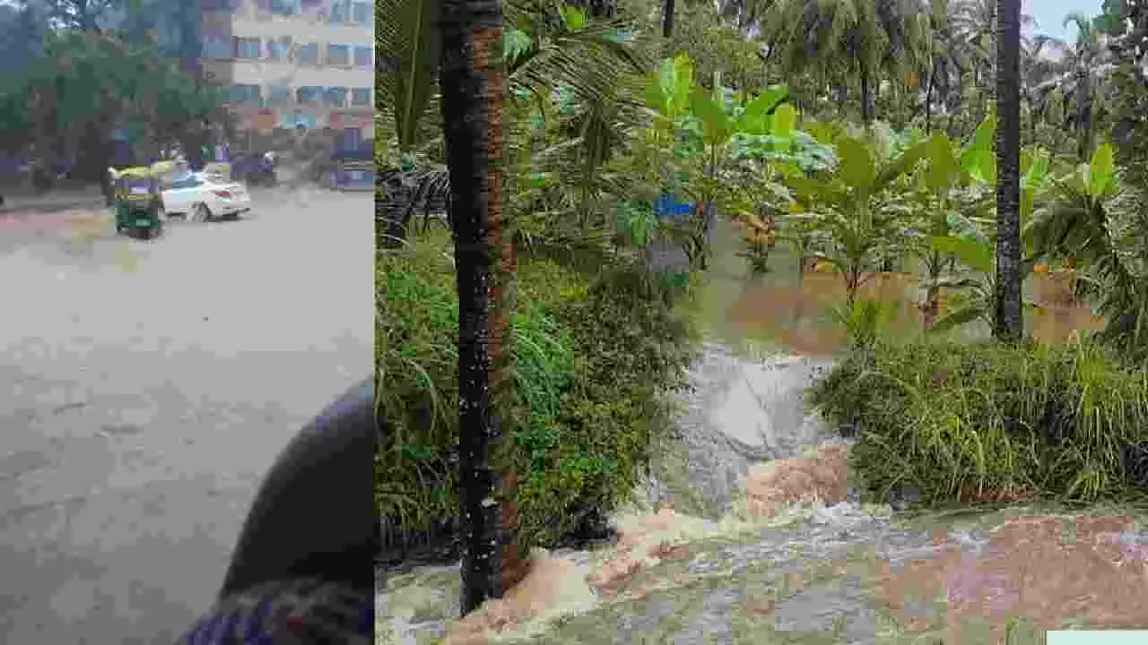 ರಾಜ್ಯದಲ್ಲಿ ಮುಂದುವರಿದ ಮಳೆ ಆರ್ಭಟ: ಮಂಡ್ಯದಲ್ಲಿ ಅಪಾರ ಬೆಳೆ ಹಾನಿ, ಮನೆ ಕುಸಿತ