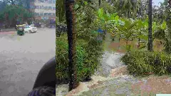 ರಾಜ್ಯದಲ್ಲಿ ಮುಂದುವರಿದ ಮಳೆ ಆರ್ಭಟ: ಮಂಡ್ಯದಲ್ಲಿ ಅಪಾರ ಬೆಳೆ ಹಾನಿ, ಮನೆ ಕುಸಿತ