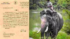 ಸಕ್ರೆಬೈಲಿನ ದಸರಾ ಆನೆ ಬಾಲಣ್ಣನಿಗೆ ಚಿಕಿತ್ಸೆ ವೇಳೆ ನಿರ್ಲಕ್ಷ್ಯ: ತನಿಖೆಗೆ ಈಶ್ವರ ಖಂಡ್ರೆ ಆದೇಶ