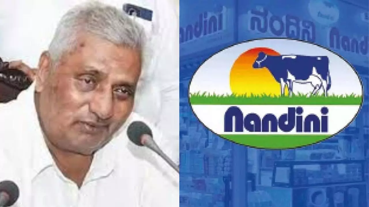ಕೆಎಂಎಫ್: ದಾಖಲೆ ಪ್ರಮಾಣದ ನಂದಿನಿ ಸಿಹಿ ಉತ್ಪನ್ನ ಮಾರಾಟ ಕೆಎಂಎಫ್: ದಾಖಲೆ ಪ್ರಮಾಣದ ನಂದಿನಿ ಸಿಹಿ ಉತ್ಪನ್ನ ಮಾರಾಟ