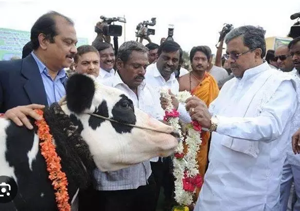 ಗೋಪೂಜೆ ನೆಪ; ಜನಜಾಗೃತಿಗೆ ಕರೆ; ಕಾಂಗ್ರೆಸ್ ಸರ್ಕಾರದಿಂದ ಹಿಂದುತ್ವ ಜಪ ಗೋಪೂಜೆ ನೆಪ; ಜನಜಾಗೃತಿಗೆ ಕರೆ; ಕಾಂಗ್ರೆಸ್ ಸರ್ಕಾರದಿಂದ ಹಿಂದುತ್ವ ಜಪ