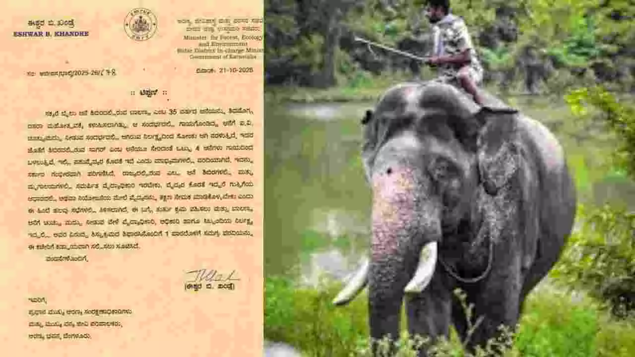 ಸಕ್ರೆಬೈಲಿನ ದಸರಾ ಆನೆ ಬಾಲಣ್ಣನಿಗೆ ಚಿಕಿತ್ಸೆ ವೇಳೆ ನಿರ್ಲಕ್ಷ್ಯ: ತನಿಖೆಗೆ ಈಶ್ವರ ಖಂಡ್ರೆ ಆದೇಶ ಸಕ್ರೆಬೈಲಿನ ದಸರಾ ಆನೆ ಬಾಲಣ್ಣನಿಗೆ ಚಿಕಿತ್ಸೆ ವೇಳೆ ನಿರ್ಲಕ್ಷ್ಯ: ತನಿಖೆಗೆ ಈಶ್ವರ ಖಂಡ್ರೆ ಆದೇಶ