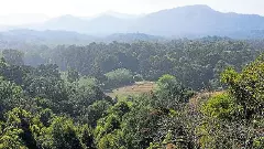 ಬಾಳೆಹೊನ್ನೂರಿನಲ್ಲಿ 580 ಎಕರೆ ಅರಣ್ಯ ಜಾಗ ಒತ್ತುವರಿ ಪತ್ತೆ; 9 ಮಂದಿ ವಿರುದ್ಧ ಪ್ರಕರಣ ದಾಖಲು