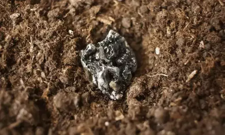 ವಿರಳ ಲೋಹವೆಂಬ ಅನರ್ಘ್ಯ ರತ್ನದ ಮೇಲೆ ಚೀನಾ ಸವಾರಿ: ಹೈರಾಣಾದ ಸುಂಕದ ದೊರೆ, ಭಾರತವಿನ್ನೂ ಕುಕ್ಕುರುಗಾಲು!