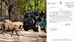 Government orders ban on safaris after evening, as animals flock to villages on the edge of the forest