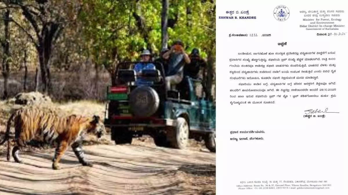 Government orders ban on safaris after evening, as animals flock to villages on the edge of the forest