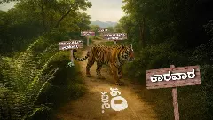 Tiger Corridor| 360 ಕಿ.ಮೀ  ಸಂಚರಿಸಿದ ಬಂಡೀಪುರ ಹುಲಿಯ ದಾಖಲೆಯ ಹೆಜ್ಜೆಯ ಗುರುತು