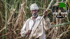 ಕಬ್ಬಿನ ಬವಣೆ: Part-1| ನ್ಯಾಯೋಚಿತ ದರ‌:  ಕೇಂದ್ರ-ರಾಜ್ಯದ ಪಾತ್ರವೇನು?  ಸಕ್ಕರೆ ಕಾರ್ಖಾನೆಗಳ ಮುಂದೆ ಮಂಡಿಯೂರಿತೇ ಸರ್ಕಾರ?