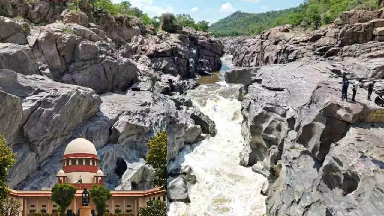 ಮೇಕೆದಾಟು ಯೋಜನೆ: ತಮಿಳುನಾಡಿನ ಕಾನೂನು ಹೋರಾಟಕ್ಕೆ ಹಿನ್ನಡೆ, ಕರ್ನಾಟಕಕ್ಕೆ ಜಯ