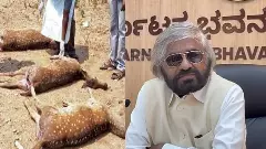 ಬೆಳಗಾವಿ ಮೃಗಾಲಯದಲ್ಲಿ 19 ಜಿಂಕೆ ಸಾವು; ತನಿಖೆಗೆ ಈಶ್ವರ ಖಂಡ್ರೆ ಆದೇಶ