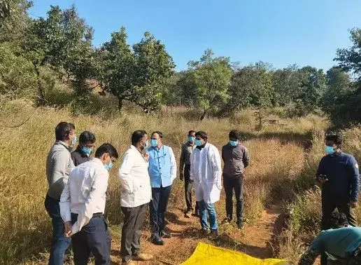 ಬೆಳಗಾವಿಯಲ್ಲಿ ಕೃಷ್ಣಮೃಗಗಳ ಸಾವು: ತಜ್ಞರ ತಂಡದಿಂದ ಪರಿಶೀಲನೆ ಬೆಳಗಾವಿಯಲ್ಲಿ ಕೃಷ್ಣಮೃಗಗಳ ಸಾವು: ತಜ್ಞರ ತಂಡದಿಂದ ಪರಿಶೀಲನೆ