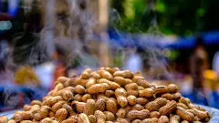 ಐತಿಹಾಸಿಕ ಬಸವನಗುಡಿ ಕಡಲೆಕಾಯಿ ಪರಿಷೆಗೆ ಇಂದು ಚಾಲನೆ, ಐದು ದಿನಗಳ ಕಾಲ ಸಂಭ್ರಮದ ಜಾತ್ರೆ