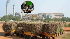 ಕಬ್ಬಿನ ಬವಣೆ: Part-8| ಮಹಾರಾಷ್ಟ್ರದಲ್ಲಿ ಕಬ್ಬಿಗೆ ಅಧಿಕ ದರ; ರೈತರ ವಲಸೆಯಿಂದ ರಾಜ್ಯದ ಸಣ್ಣ ಕೈಗಾರಿಕೆಗಳಿಗೆ ಕಬ್ಬಿನ ಕೊರತೆ ಕಬ್ಬಿನ ಬವಣೆ: Part-8| ಮಹಾರಾಷ್ಟ್ರದಲ್ಲಿ ಕಬ್ಬಿಗೆ ಅಧಿಕ ದರ; ರೈತರ ವಲಸೆಯಿಂದ ರಾಜ್ಯದ ಸಣ್ಣ ಕೈಗಾರಿಕೆಗಳಿಗೆ ಕಬ್ಬಿನ ಕೊರತೆ