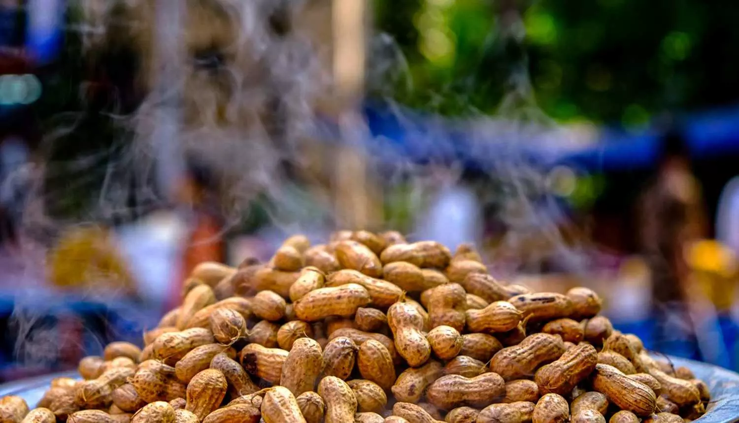 ಐತಿಹಾಸಿಕ ಬಸವನಗುಡಿ ಕಡಲೆಕಾಯಿ ಪರಿಷೆಗೆ ಇಂದು ಚಾಲನೆ, ಐದು ದಿನಗಳ ಕಾಲ ಸಂಭ್ರಮದ ಜಾತ್ರೆ ಐತಿಹಾಸಿಕ ಬಸವನಗುಡಿ ಕಡಲೆಕಾಯಿ ಪರಿಷೆಗೆ ಇಂದು ಚಾಲನೆ, ಐದು ದಿನಗಳ ಕಾಲ ಸಂಭ್ರಮದ ಜಾತ್ರೆ