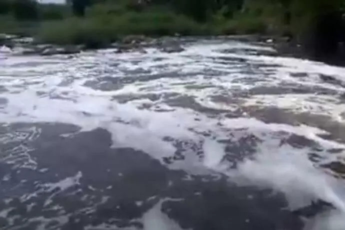 ರಾಜ್ಯದ ಜೀವನದಿಗಳು ವಿಷದ ಕೂಪ! ತುಂಗಭದ್ರಾ, ಕಾವೇರಿ, ಕೃಷ್ಣಾ ನೀರು ಸೇವನೆಗೆ ಯೋಗ್ಯವಲ್ಲ; ನೇತ್ರಾವತಿ ಬಳಕೆಗೆ  ತುಸು ಅರ್ಹ!