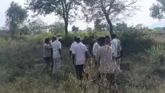 ಮೈಸೂರು: ರೈತನ ಕಣ್ಣೆದುರೇ ಹಸುವಿನ ಮೇಲೆ ಹುಲಿ ದಾಳಿ, ಕೂದಲೆಳೆ ಅಂತರದಲ್ಲಿ ಪಾರಾದ ಮಾಲೀಕ