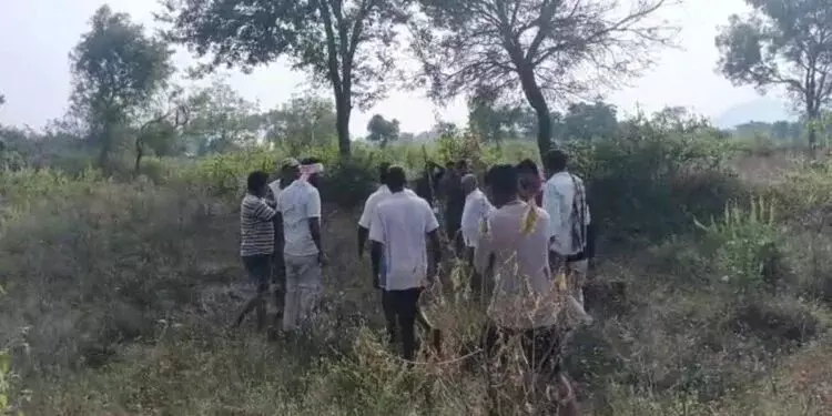 ಮೈಸೂರು: ರೈತನ ಕಣ್ಣೆದುರೇ ಹಸುವಿನ ಮೇಲೆ ಹುಲಿ ದಾಳಿ, ಕೂದಲೆಳೆ ಅಂತರದಲ್ಲಿ ಪಾರಾದ ಮಾಲೀಕ ಮೈಸೂರು: ರೈತನ ಕಣ್ಣೆದುರೇ ಹಸುವಿನ ಮೇಲೆ ಹುಲಿ ದಾಳಿ, ಕೂದಲೆಳೆ ಅಂತರದಲ್ಲಿ ಪಾರಾದ ಮಾಲೀಕ