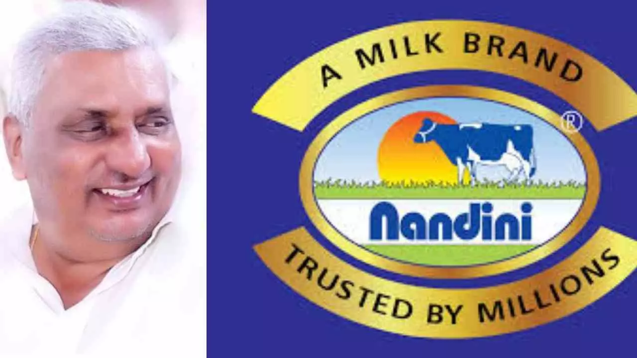 ಹಾಲಿನ ದರ ಏರಿಕೆ ಇಲ್ಲ, ನಕಲಿ ನಂದಿನಿ ತುಪ್ಪ ಜಾಲಕ್ಕೆ ಬೀಳಲಿದೆ ಬ್ರೇಕ್: ಸಚಿವ ಕೆ. ವೆಂಕಟೇಶ್ ಹಾಲಿನ ದರ ಏರಿಕೆ ಇಲ್ಲ, ನಕಲಿ ನಂದಿನಿ ತುಪ್ಪ ಜಾಲಕ್ಕೆ ಬೀಳಲಿದೆ ಬ್ರೇಕ್: ಸಚಿವ ಕೆ. ವೆಂಕಟೇಶ್